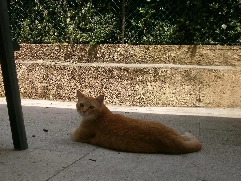 Panzió Villa Saphir Nizza