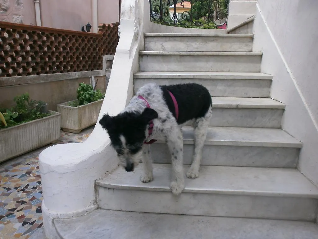 Villa Saphir Nizza 0*,  Franciaország